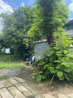 ขายถูกมาก!! ที่ดิน 141.9 ตร.ว. ทำเลทองใจกลางอำเภอเมืองขอนแก่น ใกล้ถนนคนเดิน เซ็นทรัลฯ-202512021640541764668454706.jpg