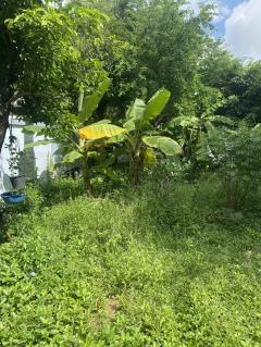 ขายถูกมาก!! ที่ดิน 141.9 ตร.ว. ทำเลทองใจกลางอำเภอเมืองขอนแก่น ใกล้ถนนคนเดิน เซ็นทรัลฯ-202512021640551764668455328.jpg