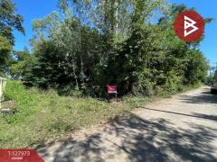 ขายที่ดินแปลงสวย เนื้อที่ 220 ตารางวา อ.โนนศิลา จ.ขอนแก่น ราคาถูก