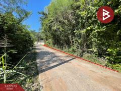 ขายที่ดินแปลงสวย เนื้อที่ 220 ตารางวา อ.โนนศิลา จ.ขอนแก่น ราคาถูก-202512021655271764669327517.jpg