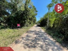 ขายที่ดินแปลงสวย เนื้อที่ 220 ตารางวา อ.โนนศิลา จ.ขอนแก่น ราคาถูก-202512021655281764669328101.jpg