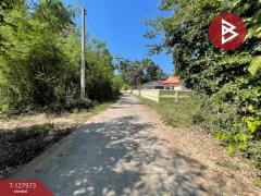 ขายที่ดินแปลงสวย เนื้อที่ 220 ตารางวา อ.โนนศิลา จ.ขอนแก่น ราคาถูก-202512021655281764669328694.jpg