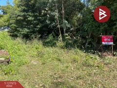 ขายที่ดินแปลงสวย เนื้อที่ 220 ตารางวา อ.โนนศิลา จ.ขอนแก่น ราคาถูก-202512021655291764669329276.jpg