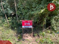 ขายที่ดินแปลงสวย เนื้อที่ 220 ตารางวา อ.โนนศิลา จ.ขอนแก่น ราคาถูก-202512021655291764669329876.jpg