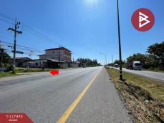 ขายที่ดินแปลงสวย เนื้อที่ 220 ตารางวา อ.โนนศิลา จ.ขอนแก่น ราคาถูก-202512021655301764669330468.jpg