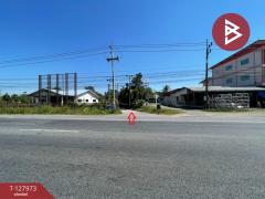 ขายที่ดินแปลงสวย เนื้อที่ 220 ตารางวา อ.โนนศิลา จ.ขอนแก่น ราคาถูก-202512021655311764669331043.jpg