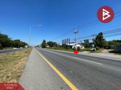 ขายที่ดินแปลงสวย เนื้อที่ 220 ตารางวา อ.โนนศิลา จ.ขอนแก่น ราคาถูก-202512021655311764669331623.jpg