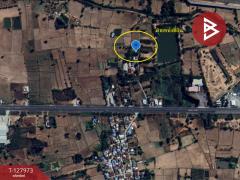 ขายที่ดินแปลงสวย เนื้อที่ 220 ตารางวา อ.โนนศิลา จ.ขอนแก่น ราคาถูก-202512021655331764669333972.jpg