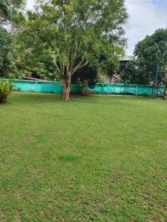 ขายถูกมาก!! ที่ดินพร้อมบ้าน 211 ตร.ว. ทำเลดี ต.ราไวย์ อ.เมือง จ.ภูเก็ต ใกล้ชายหาด แม็คโคร แหลมพรหมเทพ-202512021658471764669527420.jpg