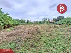  ขายที่ดิน เนื้อที่ 1 ไร่ 26 ตร.วา สายไหม กรุงเทพมหานคร-202512021741461764672106886.jpg