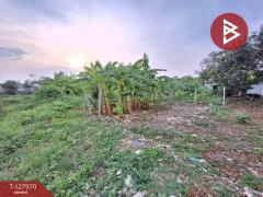  ขายที่ดิน เนื้อที่ 1 ไร่ 26 ตร.วา สายไหม กรุงเทพมหานคร-202512021741471764672107424.jpg