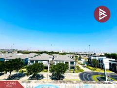 ขายอาคารพาณิชย์ หมู่บ้านรุ่งกิจวิลล่า 14 ร่มเกล้า 38 ลาดกระบัง กรุงเทพมหานคร-202512030926371764728797687.jpg