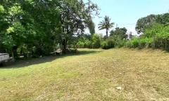 ขายที่ดินสวยติดริมน้ำเเม่กลาง เส้นเดียวกับน้ำตกแม่กลาง ใกล้ทางขึ้นดอยอินทนนท์ มีทางเข้าจากถนนใหญ่ เหมาะทำบ้านพัก รีสอร์ท