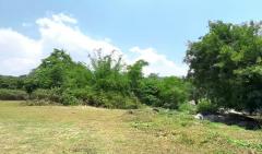 ขายที่ดินสวยติดริมน้ำเเม่กลาง เส้นเดียวกับน้ำตกแม่กลาง ใกล้ทางขึ้นดอยอินทนนท์ มีทางเข้าจากถนนใหญ่ เหมาะทำบ้านพัก รีสอร์ท-202512031112141764735134428.jpg