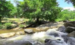 ขายที่ดินสวยติดริมน้ำเเม่กลาง เส้นเดียวกับน้ำตกแม่กลาง ใกล้ทางขึ้นดอยอินทนนท์ มีทางเข้าจากถนนใหญ่ เหมาะทำบ้านพัก รีสอร์ท-202512031112181764735138209.jpg