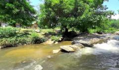 ขายที่ดินสวยติดริมน้ำเเม่กลาง เส้นเดียวกับน้ำตกแม่กลาง ใกล้ทางขึ้นดอยอินทนนท์ มีทางเข้าจากถนนใหญ่ เหมาะทำบ้านพัก รีสอร์ท-202512031112221764735142719.jpg