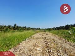 ขายที่ดิน เนื้อที่ 8 ไร่ 2 งาน 60.4 ตร.วา อัมพวา สมุทรสงคราม-202512031116121764735372821.jpg
