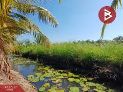 ขายที่ดิน เนื้อที่ 8 ไร่ 2 งาน 60.4 ตร.วา อัมพวา สมุทรสงคราม-202512031116131764735373386.jpg