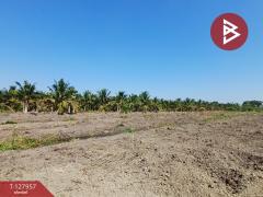 ขายที่ดิน เนื้อที่ 8 ไร่ 2 งาน 60.4 ตร.วา อัมพวา สมุทรสงคราม-202512031116131764735373965.jpg