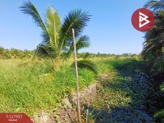 ขายที่ดิน เนื้อที่ 8 ไร่ 2 งาน 60.4 ตร.วา อัมพวา สมุทรสงคราม-202512031116151764735375086.jpg