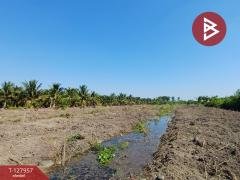 ขายที่ดิน เนื้อที่ 8 ไร่ 2 งาน 60.4 ตร.วา อัมพวา สมุทรสงคราม-202512031116151764735375651.jpg