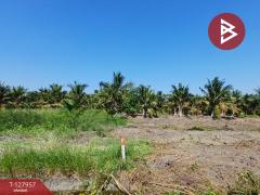 ขายที่ดิน เนื้อที่ 8 ไร่ 2 งาน 60.4 ตร.วา อัมพวา สมุทรสงคราม-202512031116161764735376238.jpg