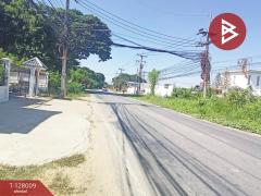 ขายบ้านเดียว 2 ชั้น เนื้อที่ 98.9 ตารางวา โซนสันคูท่าทอง เมืองนครสวรรค์-202512031234571764740097010.jpg