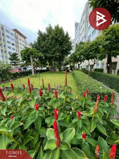 ขายคอนโดมิเนียม-เดอะไรซ์-บี-ชลบุรี-พ