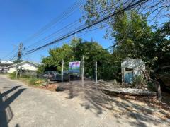 ขายที่ดินเปล่าซอยตีเหล็ก ต.ในเมือง โคราช เนื้อที่ 243ตารางวา ทำเลดี หายาก-202512031319401764742780945.jpg