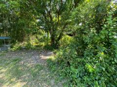 ขายที่ดินเปล่าซอยตีเหล็ก ต.ในเมือง โคราช เนื้อที่ 243ตารางวา ทำเลดี หายาก-202512031319421764742782101.jpg