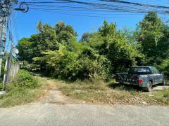 ขายที่ดินเปล่าซอยตีเหล็ก ต.ในเมือง โคราช เนื้อที่ 243ตารางวา ทำเลดี หายาก-202512031319421764742782704.jpg