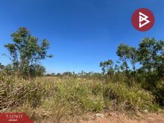 ขายที่ดิน เนื้อที่ 34 ไร่ 1 งาน 75 ตร.วา กบินทร์บุรี ปราจีนบุรี-202512031413231764746003355.jpg