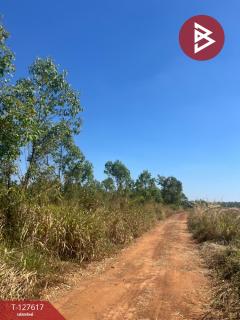 ขายที่ดิน เนื้อที่ 34 ไร่ 1 งาน 75 ตร.วา กบินทร์บุรี ปราจีนบุรี-202512031413231764746003907.jpg