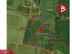 ขายที่ดิน เนื้อที่ 34 ไร่ 1 งาน 75 ตร.วา กบินทร์บุรี ปราจีนบุรี-202512031413251764746005029.jpg