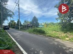 ขายที่ดิน เนื้อที่ 3 งาน 49 ตร.วา โพธาราม ราชบุรี-202512031753141764759194376.jpg