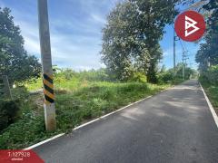 ขายที่ดิน เนื้อที่ 3 งาน 49 ตร.วา โพธาราม ราชบุรี-202512031753141764759194924.jpg