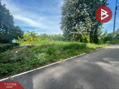 ขายที่ดิน เนื้อที่ 3 งาน 49 ตร.วา โพธาราม ราชบุรี-202512031753151764759195510.jpg