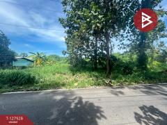 ขายที่ดิน เนื้อที่ 3 งาน 49 ตร.วา โพธาราม ราชบุรี-202512031753161764759196433.jpg