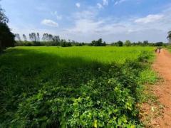 ขายที่ดินบ้านห้วยหิน ซอยวัดหินดาษ (รหัสทรัพย์ 202571)  ต.ลาดกระทิง  อ.สนามชันเขต จ.ฉะเชิงเทรา