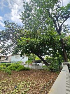 BTS เซนต์หลุยส์ 900 ม.ซ.นราธิวาส 7-14  ย่านสาทร รร.อัสสัมชัญ 600 ม. โรงแรมเจซี เควิน สาทร กรุงเทพฯ 265ม.  ให้เช่าที่ดินถมแล้ว 60 ตร.วา. 