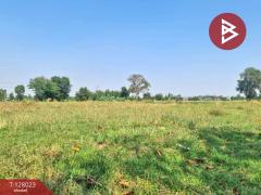 ขายที่ดิน เนื้อที่ 13 ไร่ 1 งาน 16.4 ตร.วา หนองเรือ ขอนแก่น