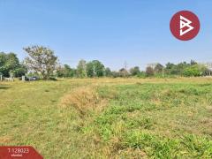 ขายที่ดิน เนื้อที่ 13 ไร่ 1 งาน 16.4 ตร.วา หนองเรือ ขอนแก่น-202512040913031764814383350.jpg