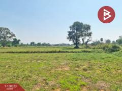 ขายที่ดิน เนื้อที่ 13 ไร่ 1 งาน 16.4 ตร.วา หนองเรือ ขอนแก่น-202512040913031764814383921.jpg