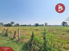 ขายที่ดิน เนื้อที่ 13 ไร่ 1 งาน 16.4 ตร.วา หนองเรือ ขอนแก่น-202512040913041764814384591.jpg