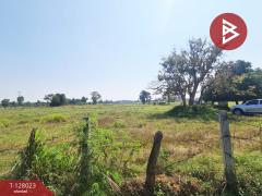 ขายที่ดิน เนื้อที่ 13 ไร่ 1 งาน 16.4 ตร.วา หนองเรือ ขอนแก่น-202512040913051764814385175.jpg