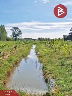 ขายที่ดิน เนื้อที่ 13 ไร่ 1 งาน 16.4 ตร.วา หนองเรือ ขอนแก่น-202512040913061764814386369.jpg