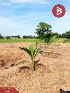 ขายที่ดิน เนื้อที่ 13 ไร่ 1 งาน 16.4 ตร.วา หนองเรือ ขอนแก่น-202512040913061764814386956.jpg