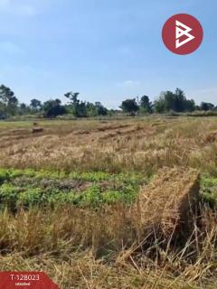 ขายที่ดิน เนื้อที่ 13 ไร่ 1 งาน 16.4 ตร.วา หนองเรือ ขอนแก่น-202512040913091764814389802.jpg