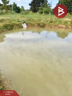 ขายที่ดิน เนื้อที่ 13 ไร่ 1 งาน 16.4 ตร.วา หนองเรือ ขอนแก่น-202512040913101764814390367.jpg