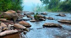 ขายที่ดินติดน้ำมาง บ่อเกลือ เนื้อที่ 5 ไร่ เหมาะสำหรับลงทุน 